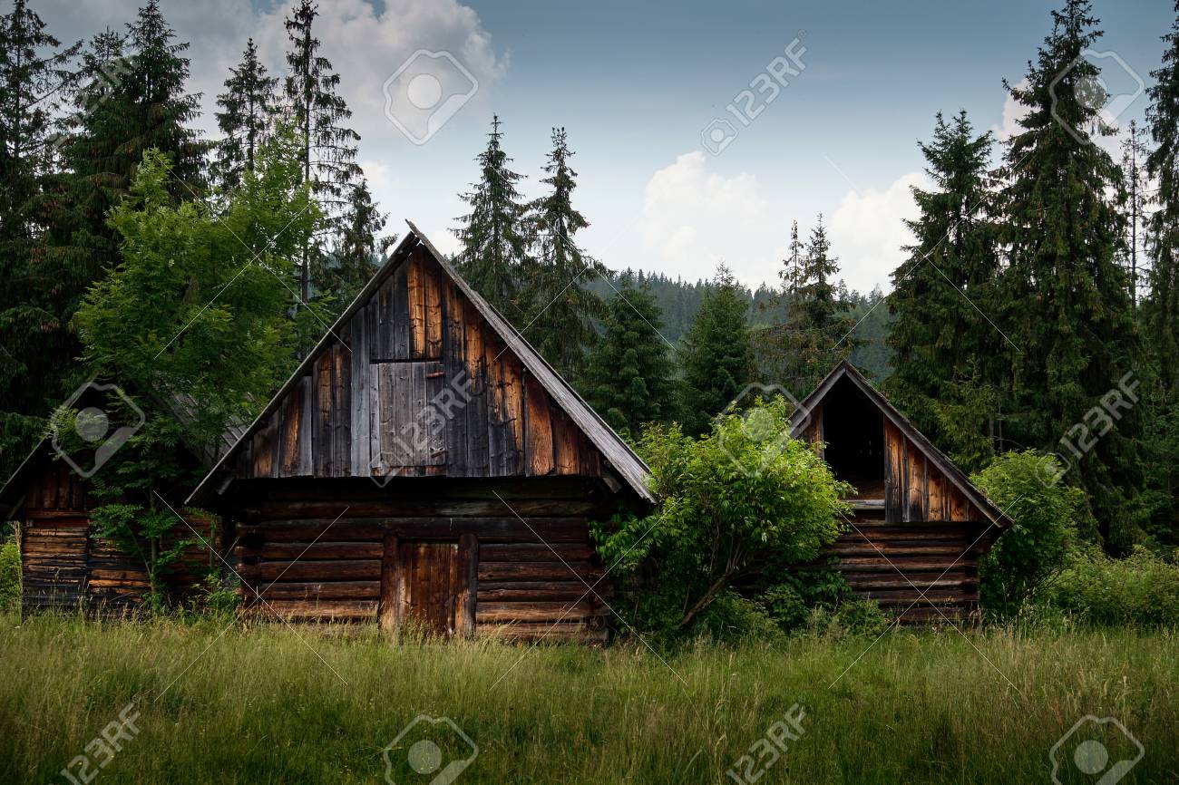 Chalet en bois foret