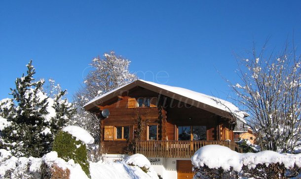 Location chalet carroz