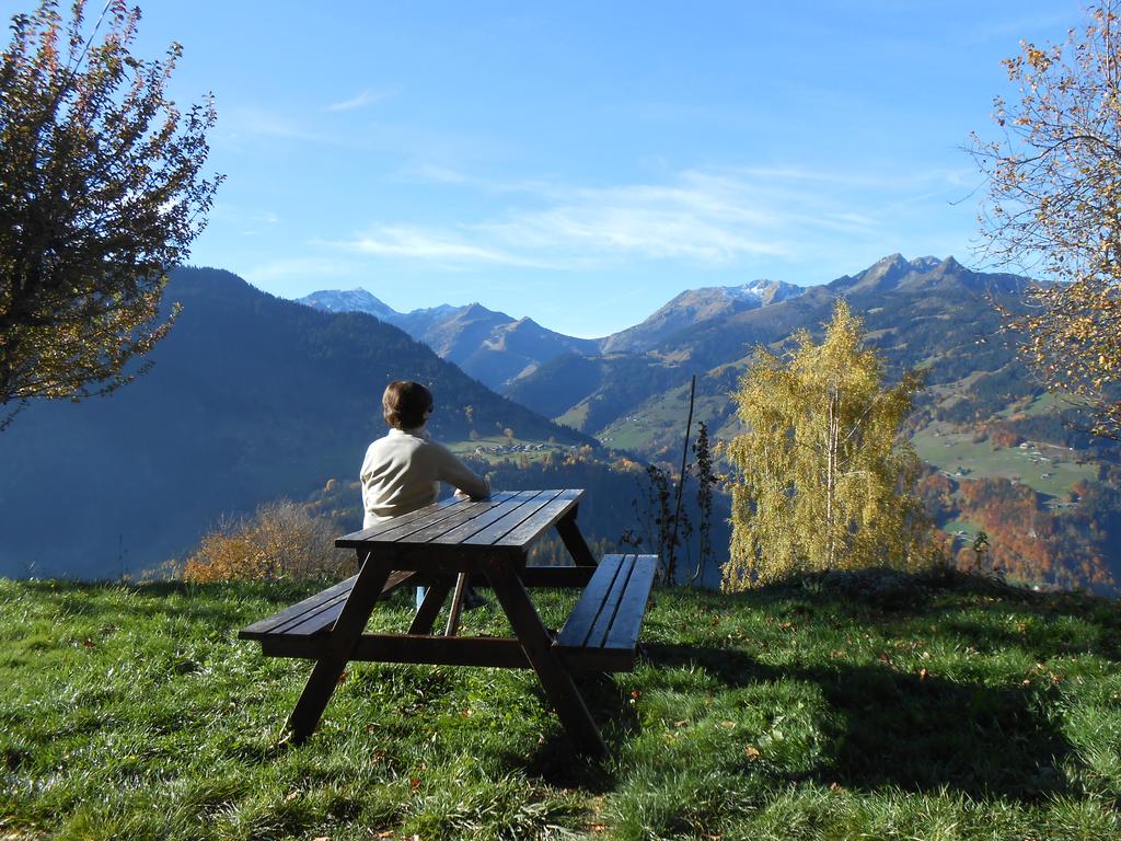 Chalet d alpage savoie