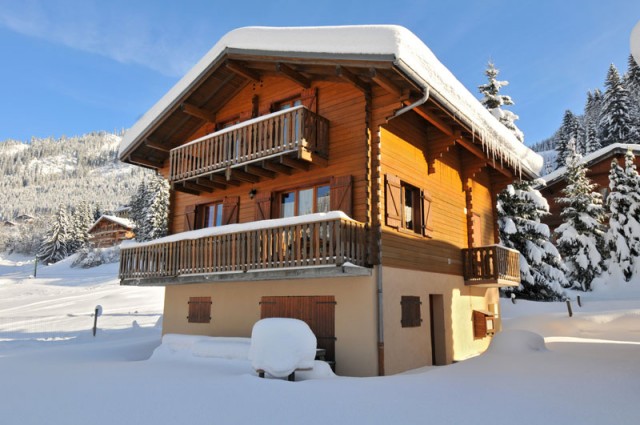 Location chalet chatel 12 personnes