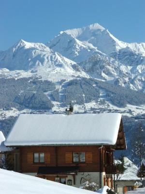 Chalet du paradou