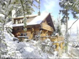 Location chalet pra loup 1600