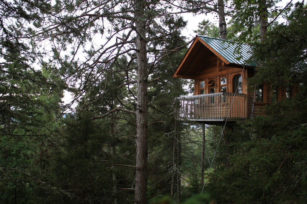 Chalet dans les arbre