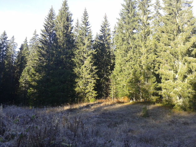 Chalet des ministres