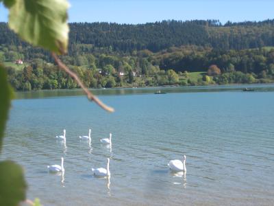 Chalet du lac les grangettes