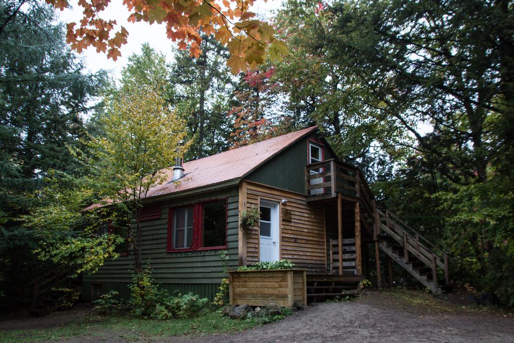 Rustik chalet