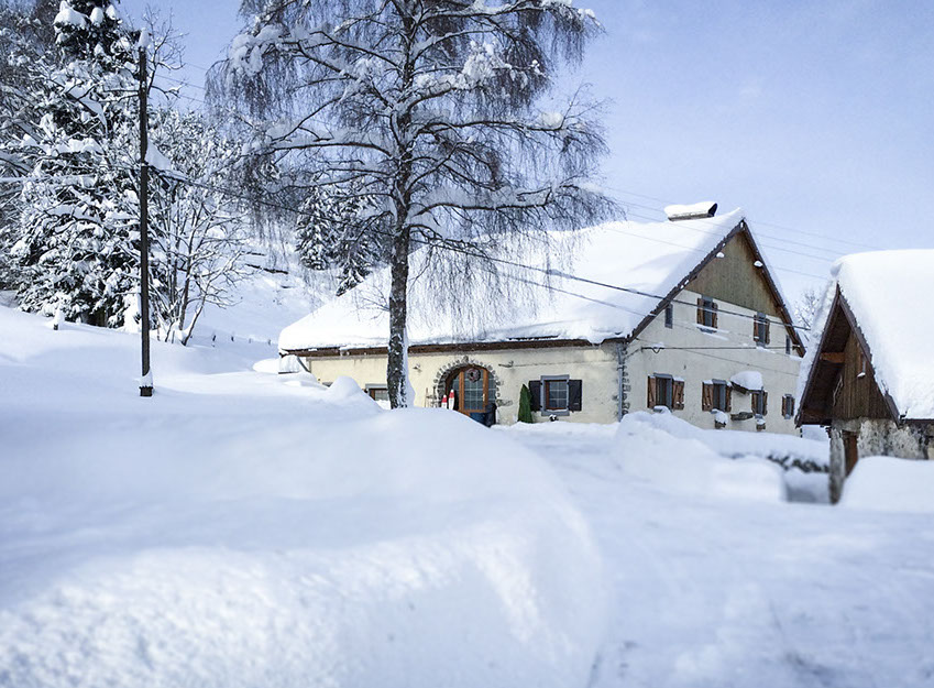 Chalet vosges 18 personnes