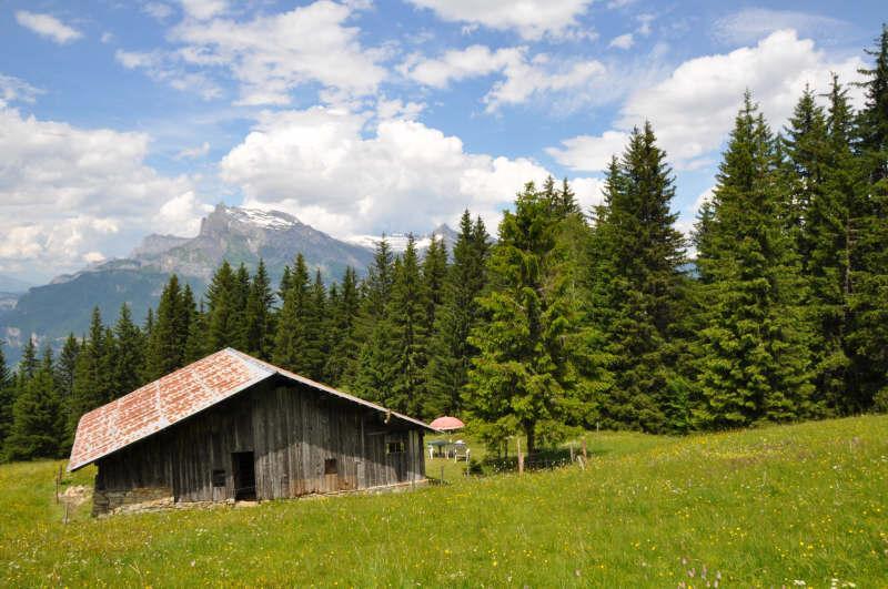 Chalet d'alpage a vendre