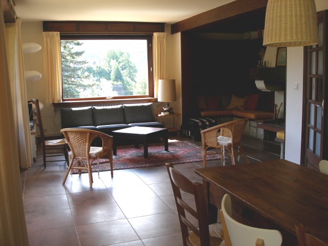 Chalet bizon