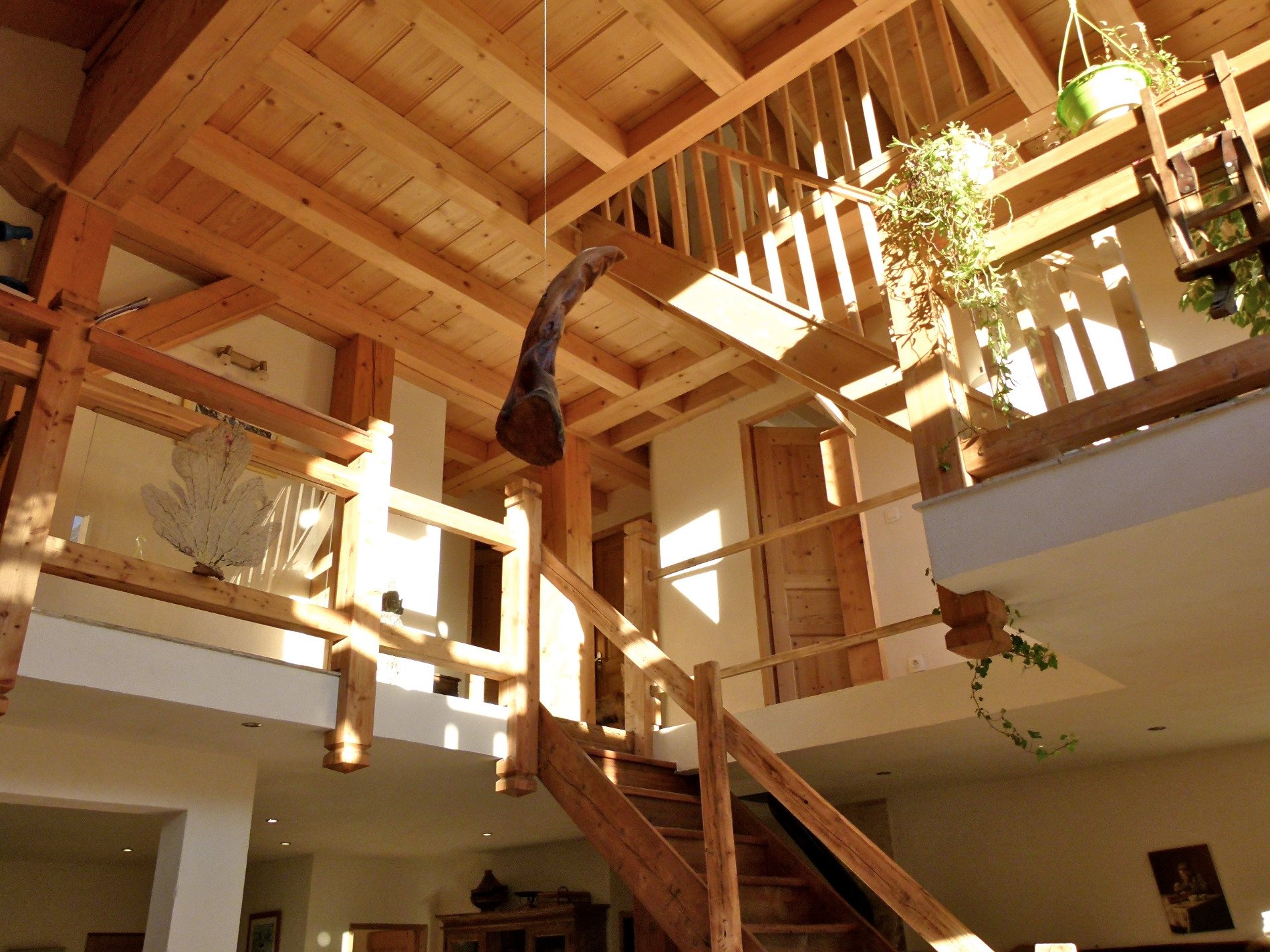 Chalet bois neuf
