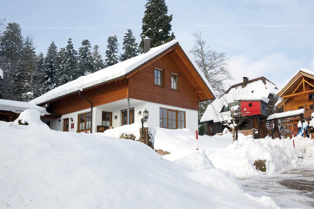 Chalet foret noire 10 personnes