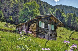 Chalet d'alpage definition
