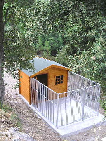 Chenil chalet chien