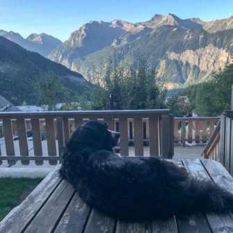 Chalet ribot