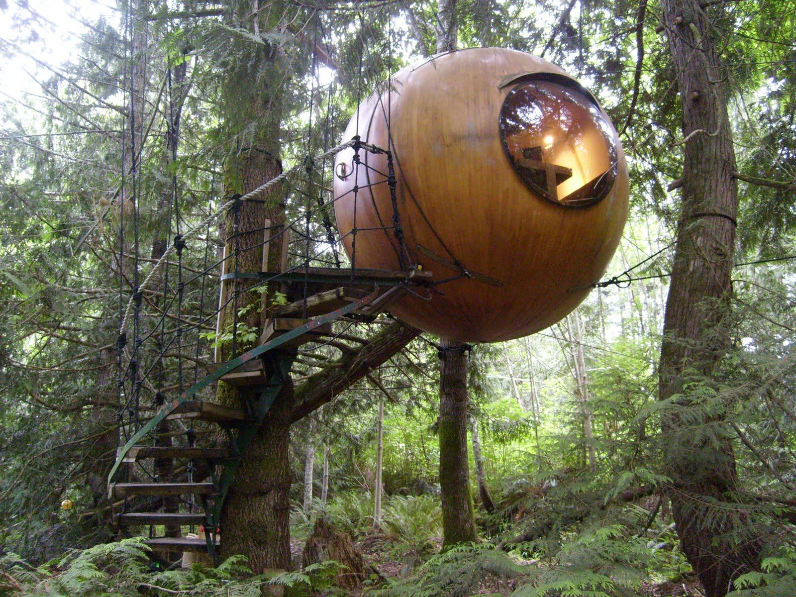 Chalet dans un arbre