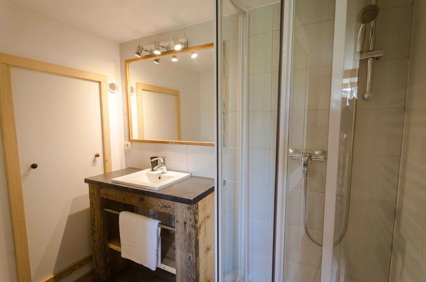Chalet epilobe la rosiere