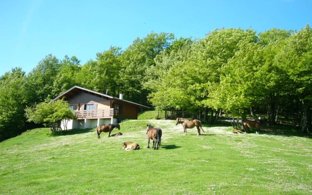 Chalet iraty reservation