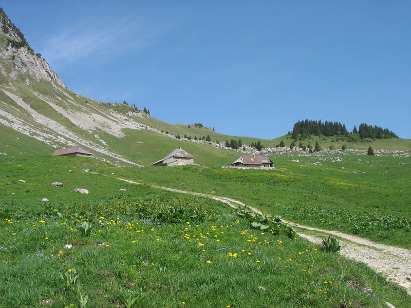 Chalet d'orgeval
