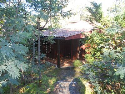 Chalet a vendre carcans maubuisson