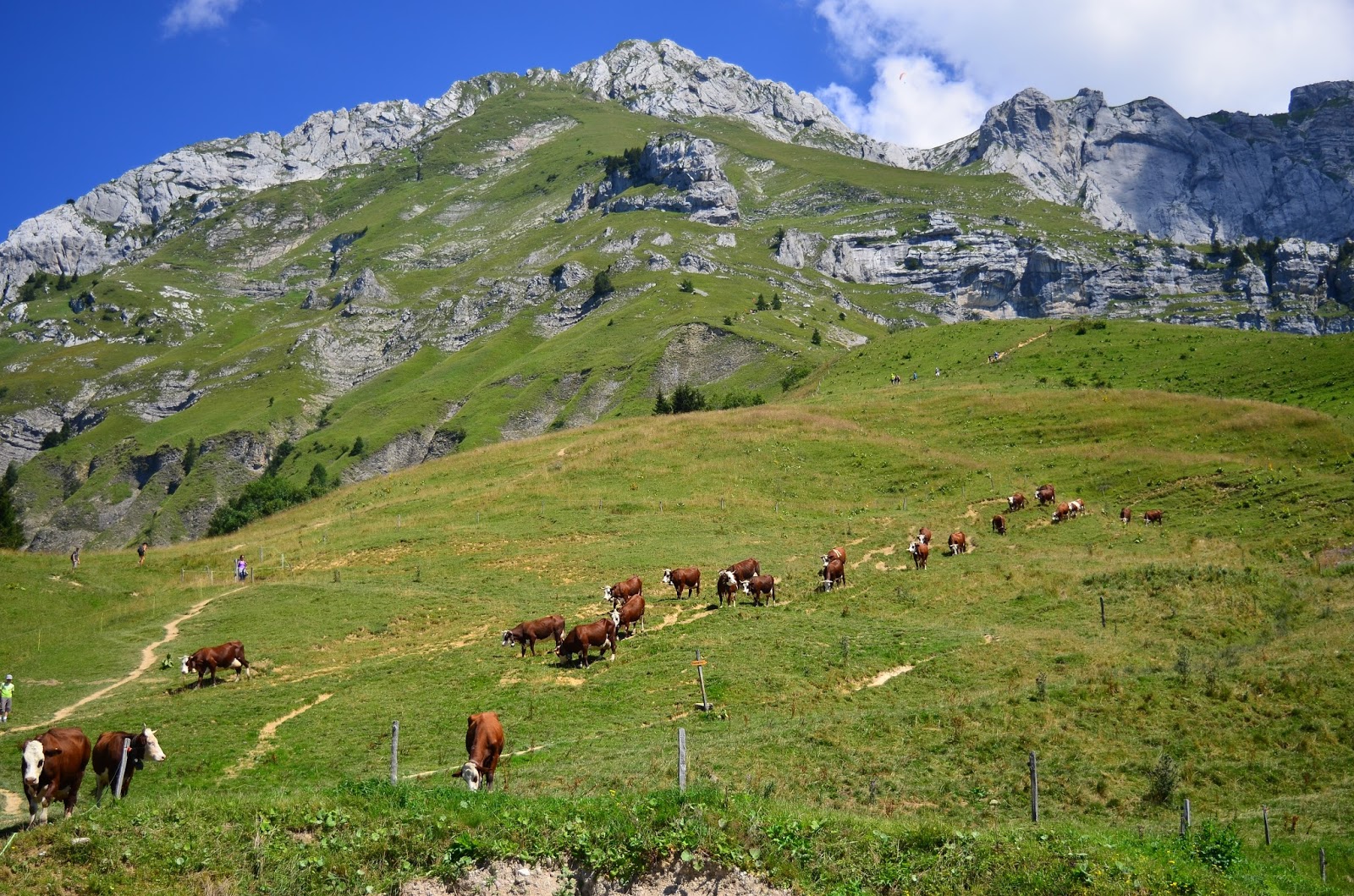 Chalet de l'aulp