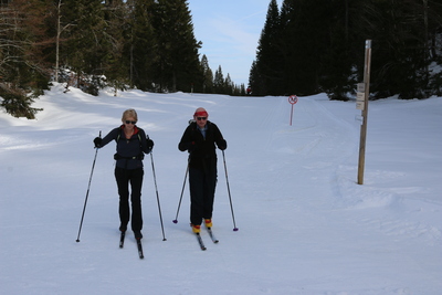 Location chalet luxe alpes