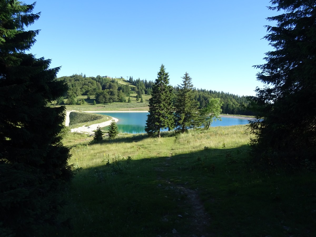 Fabricant chalet bois vosges