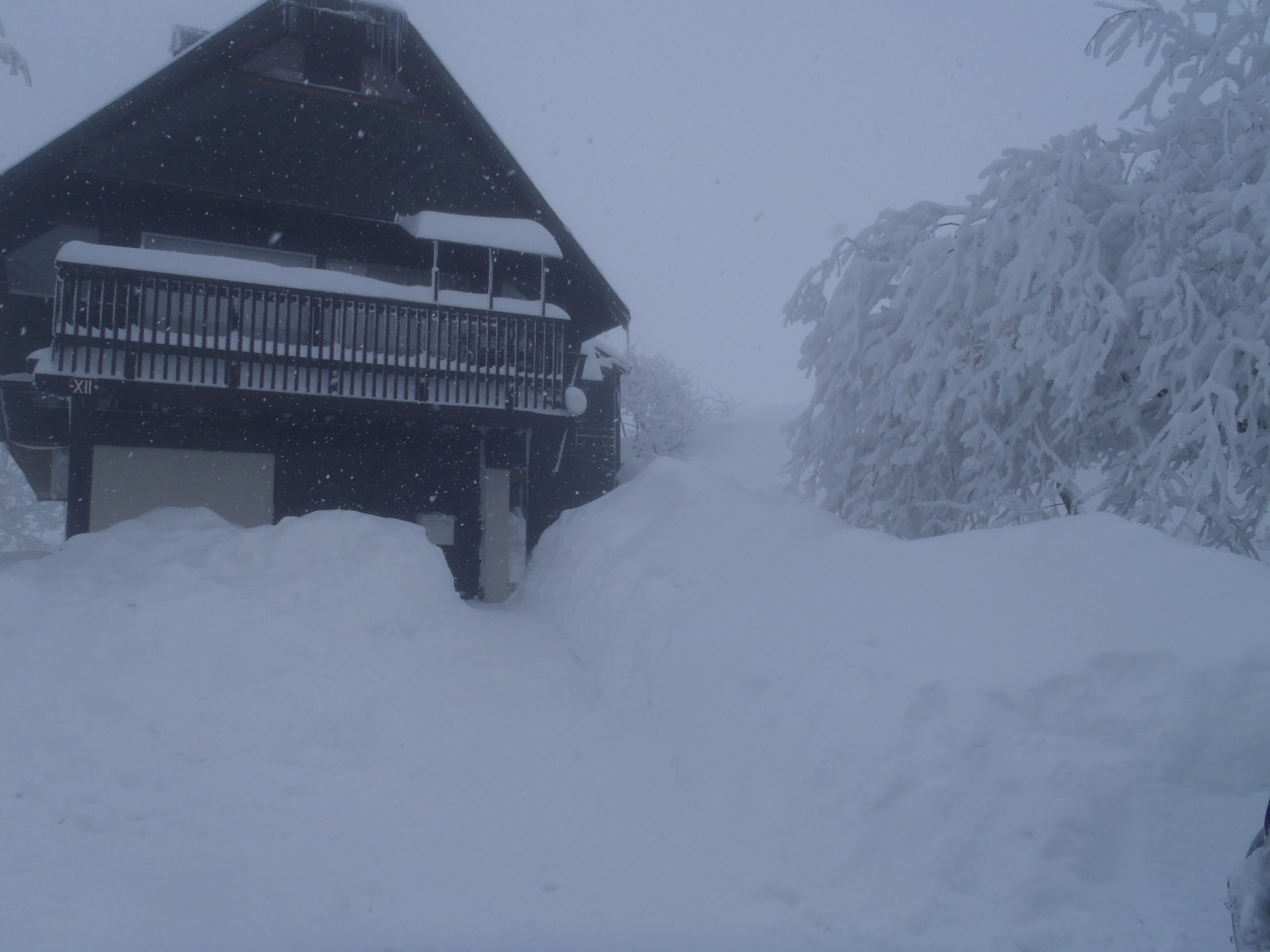 Location chalet chastreix sancy