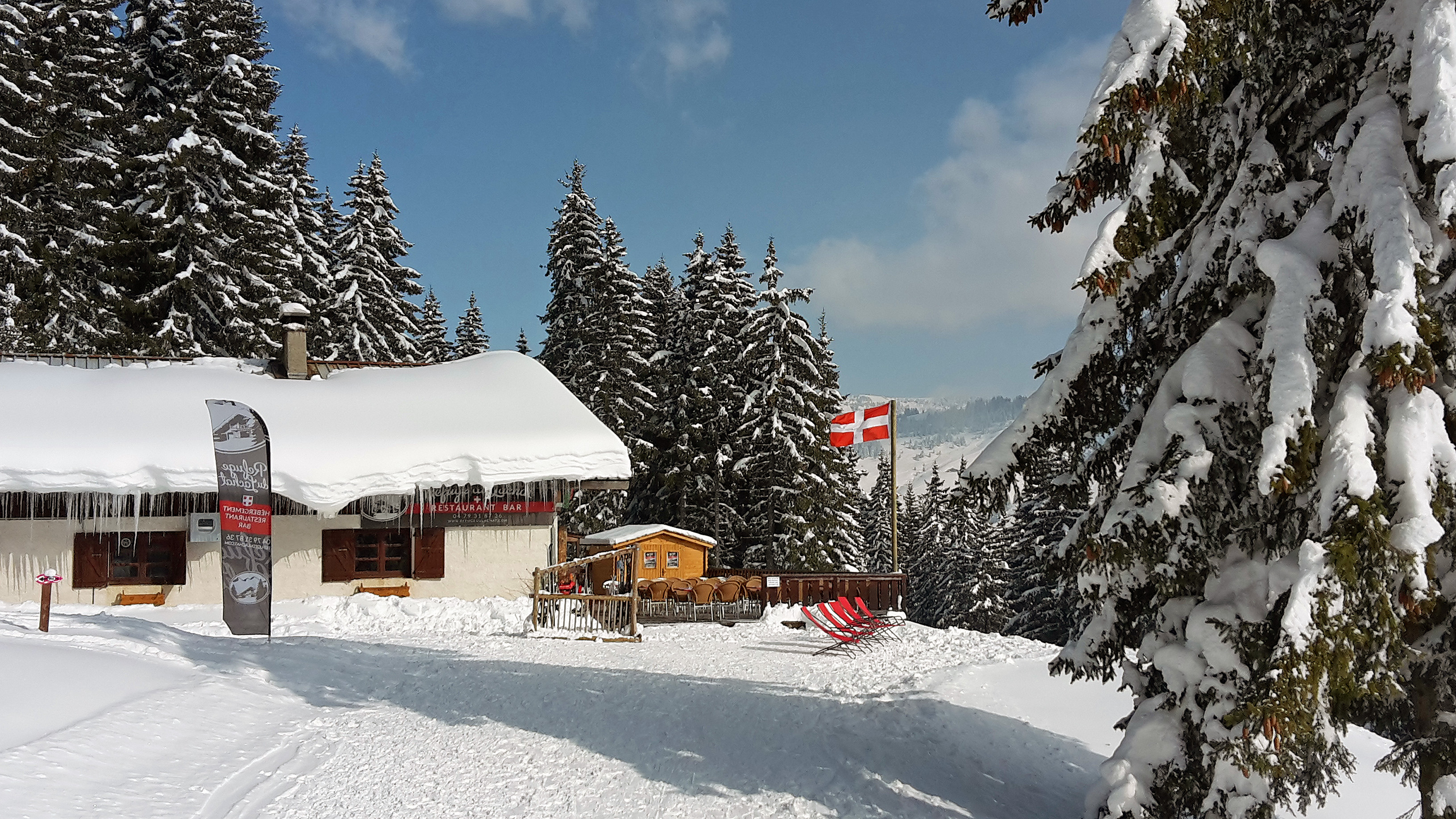 Vente chalet les saisies