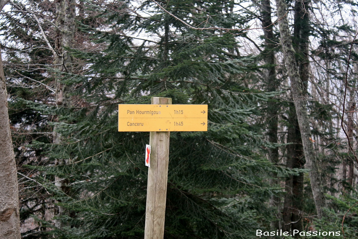 Chalet de la reine hortense cauterets