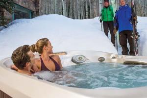 Chalet st martin de belleville