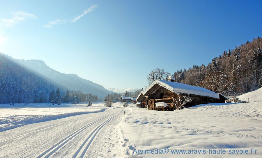Montagne chalet neige