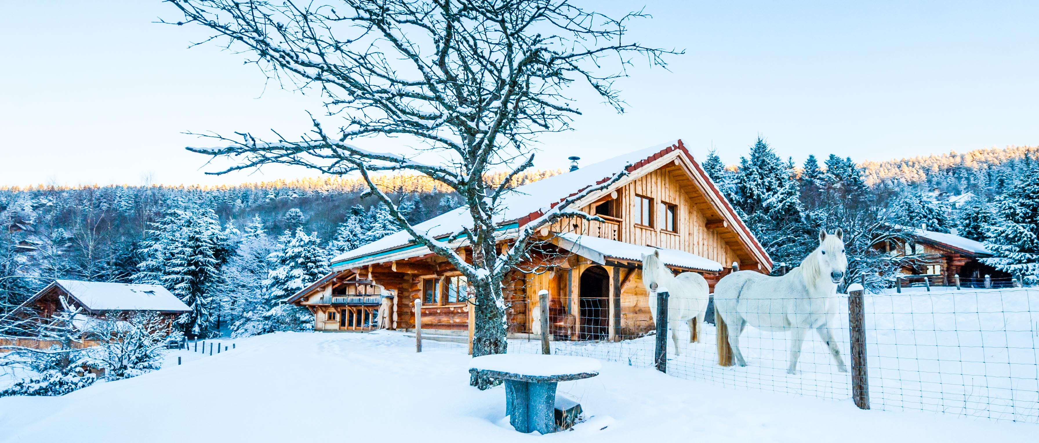 Les vosges chalet a louer