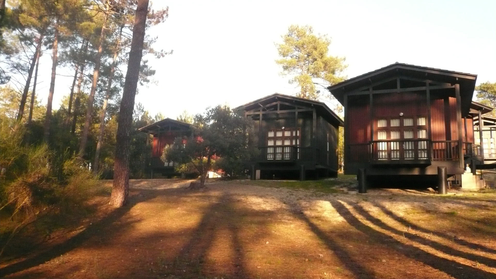 Modern chalet