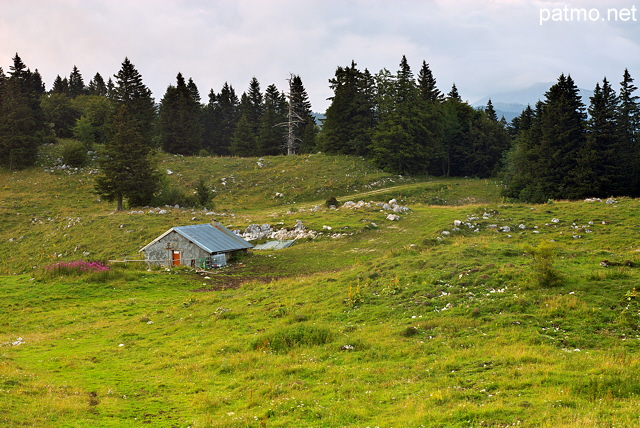 Chalet savoyard paris 11