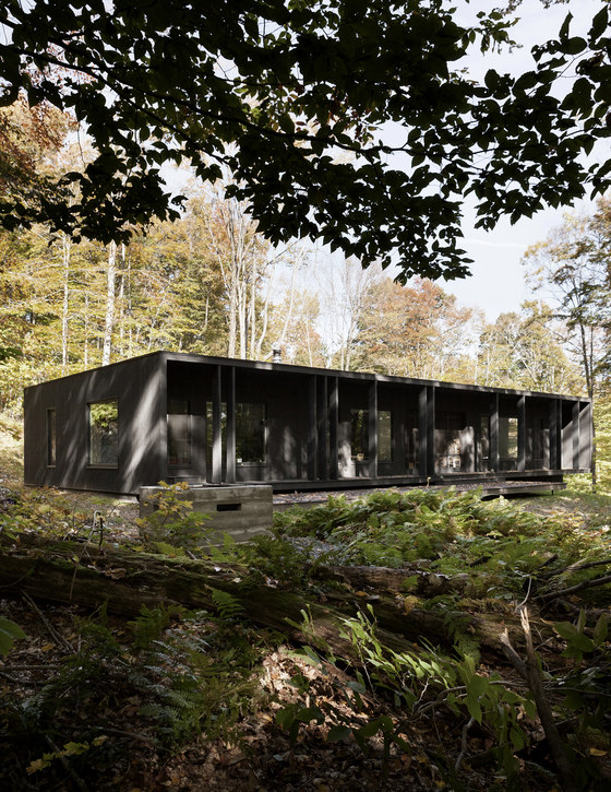 Chalet forestier