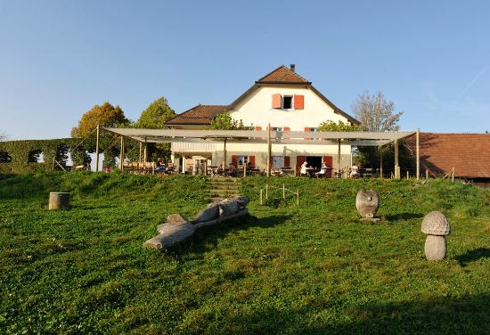 Chalet des enfants