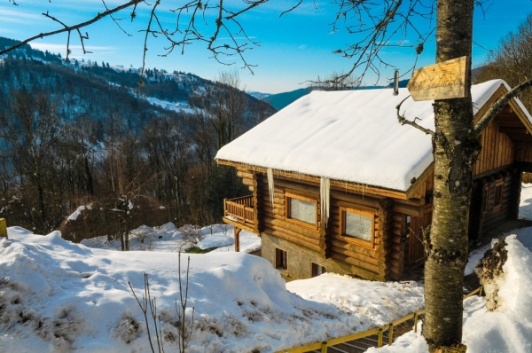 Chalet la bresse jacuzzi