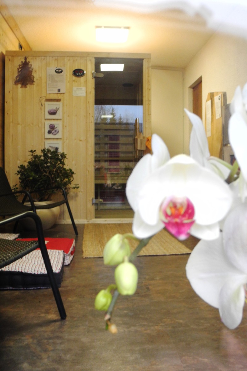 Location chalet mijoux