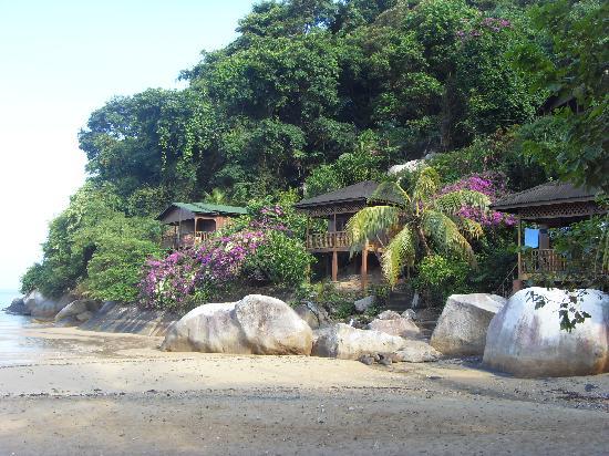 Bamboo hill chalet