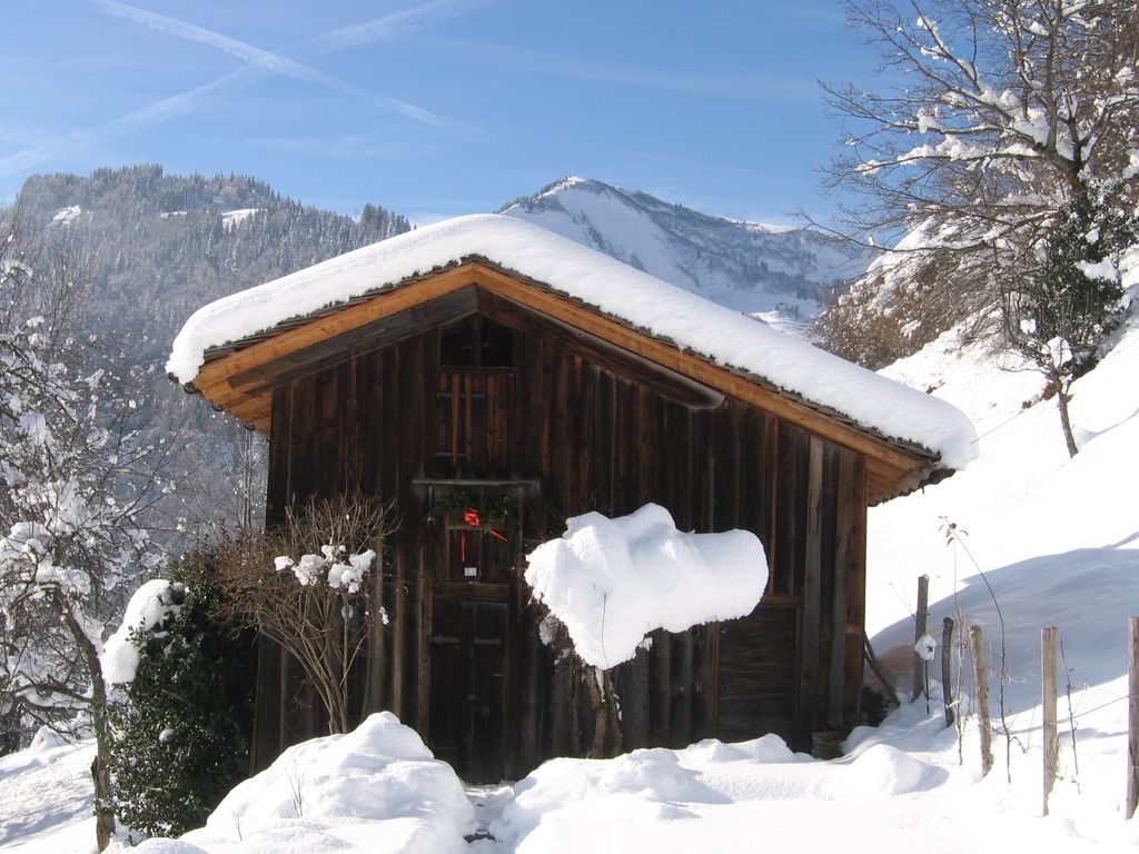 Location chalet flumet
