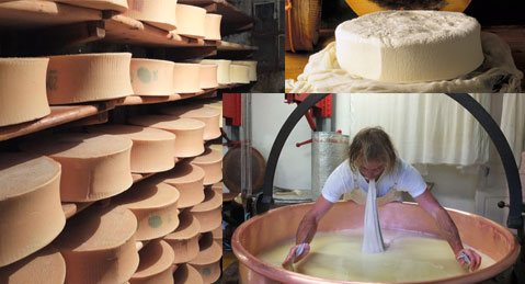 Fabrication du beaufort en chalet d'alpage
