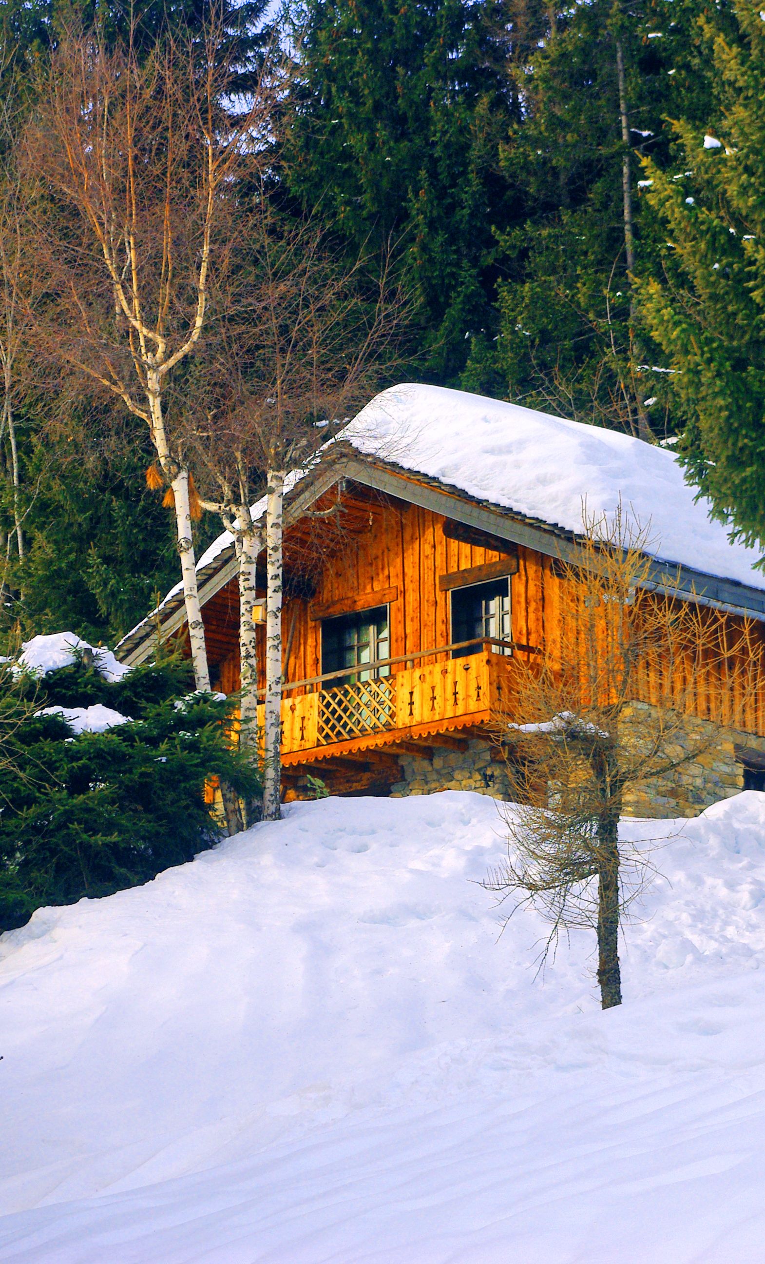 Location chalet savoie mont blanc