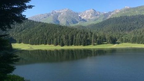 Payolle location chalet