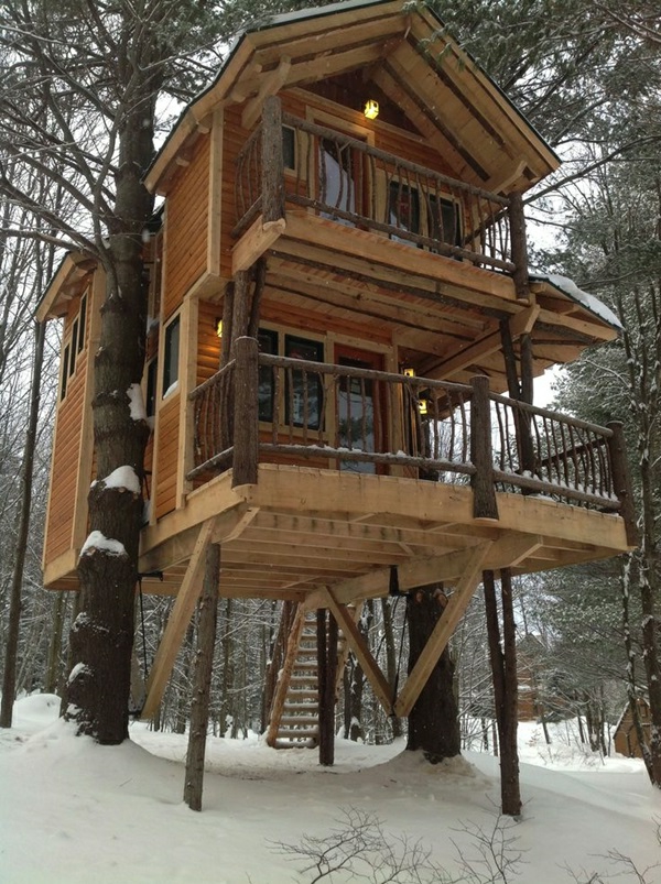 Chalet dans un arbre