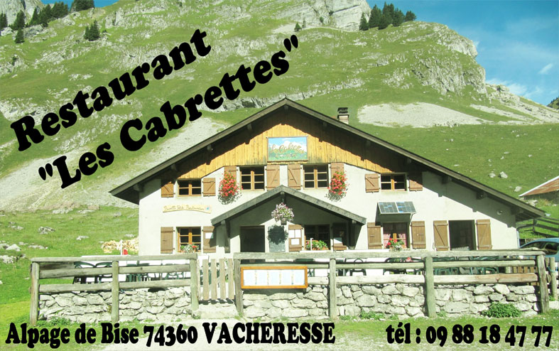 Chalet de bise vacheresse