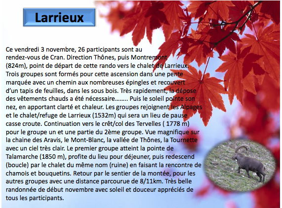 Chalet larrieux