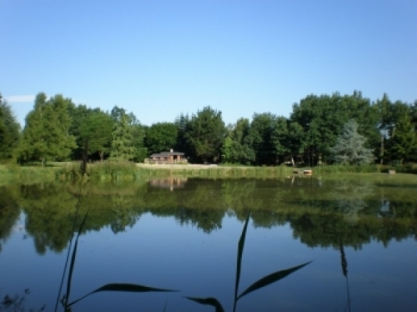 Location chalet avec etang de peche lorraine