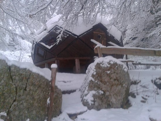 Chalet des 2 roches le village¬07310 borée