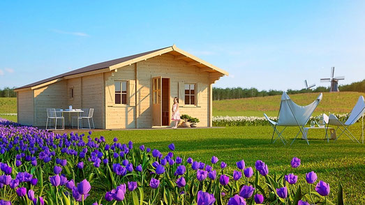 Kit chalet en bois habitable