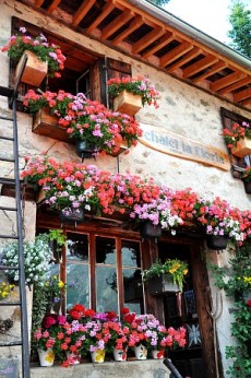 Chalet de la floria